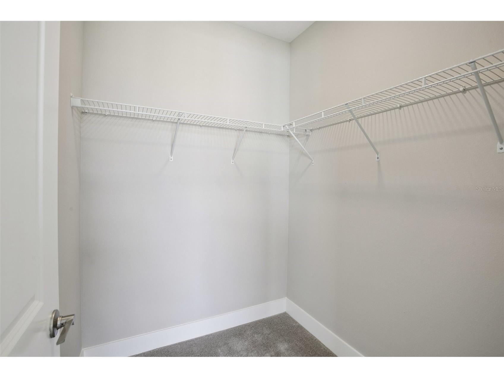 31887 Oyster Pier Court Wesley Chapel FL 33545 TB8443725 image27