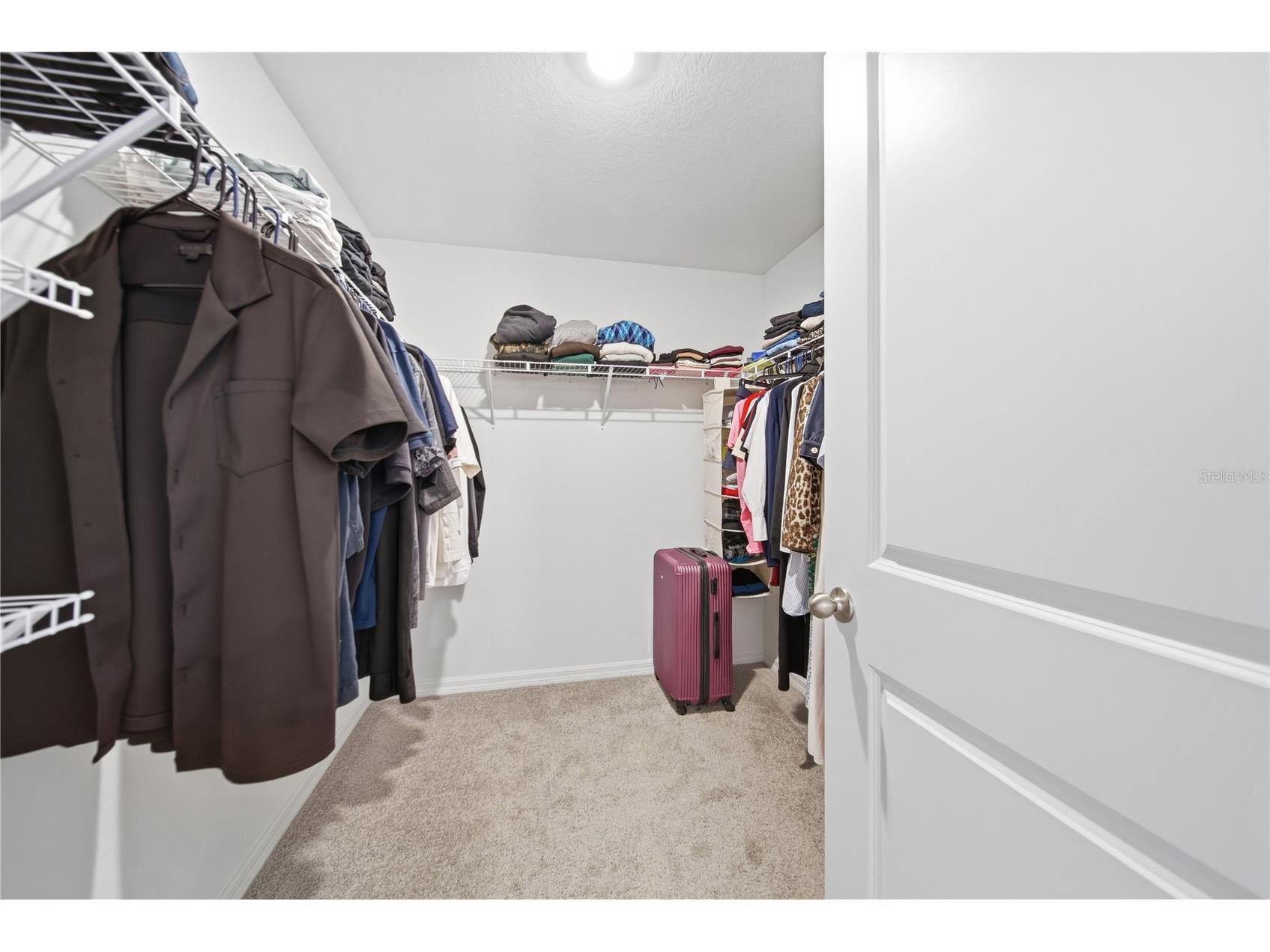3189 Living Coral Street Wimauma FL 33598 TB8483776 image19