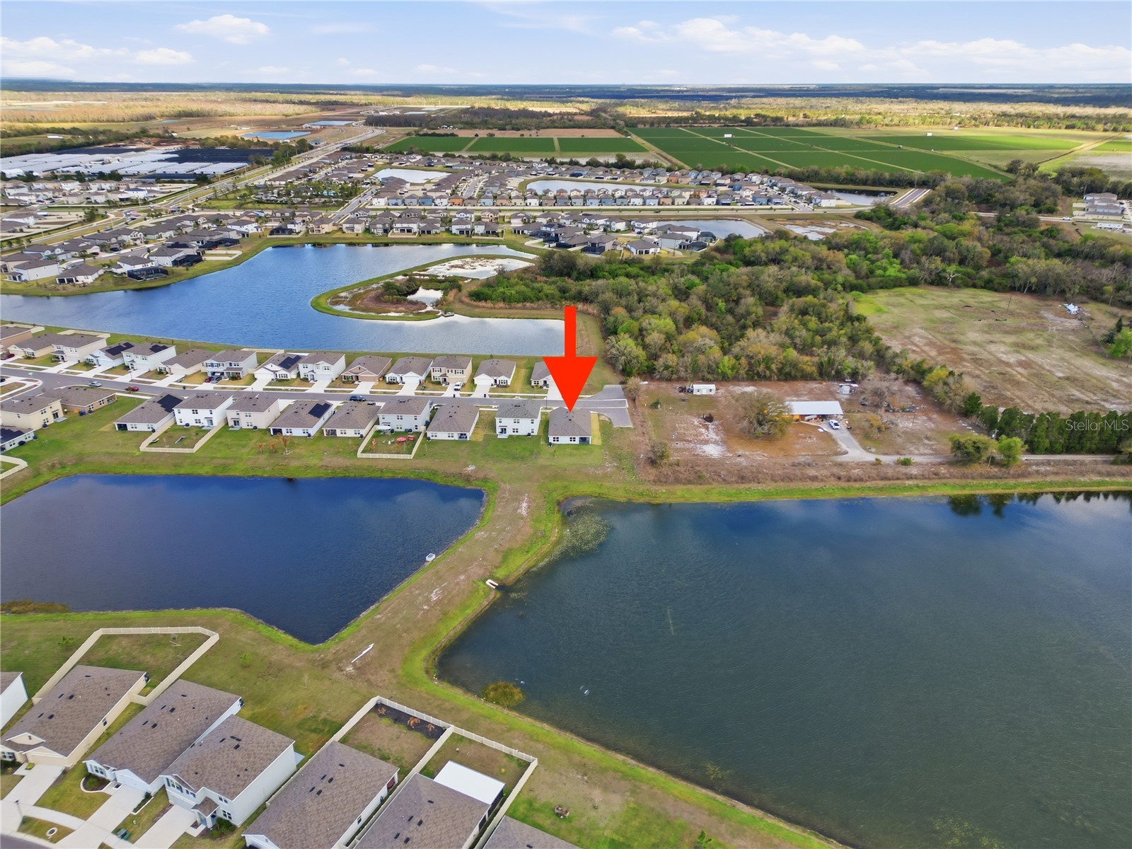 3189 Living Coral Street Wimauma FL 33598 TB8483776 image32