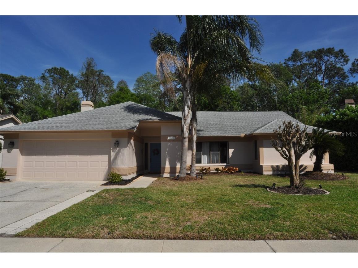 3189 Roxmere Drive Palm Harbor FL 34685 TB8366506 image1