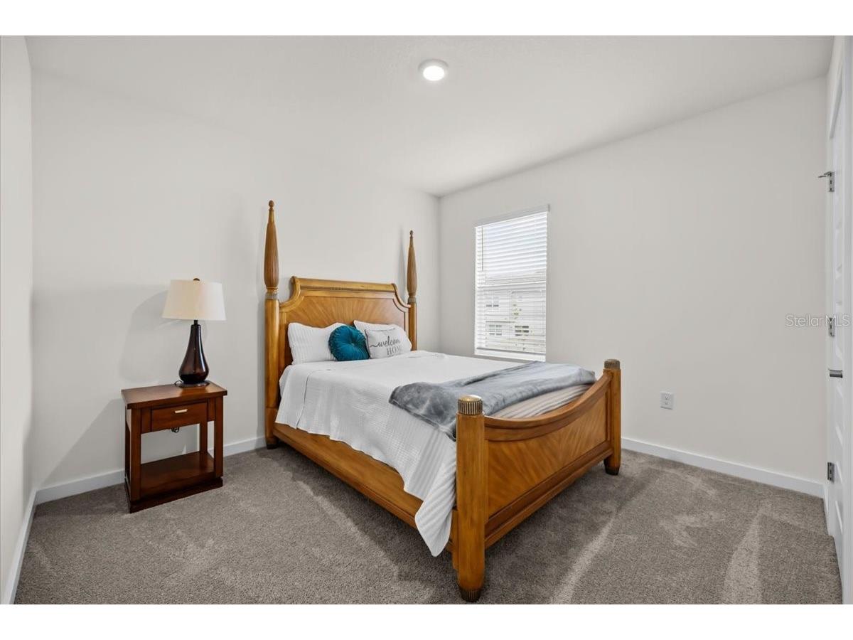 31891 Oyster Trellis Lane Wesley Chapel FL 33545 TB8498748 image16