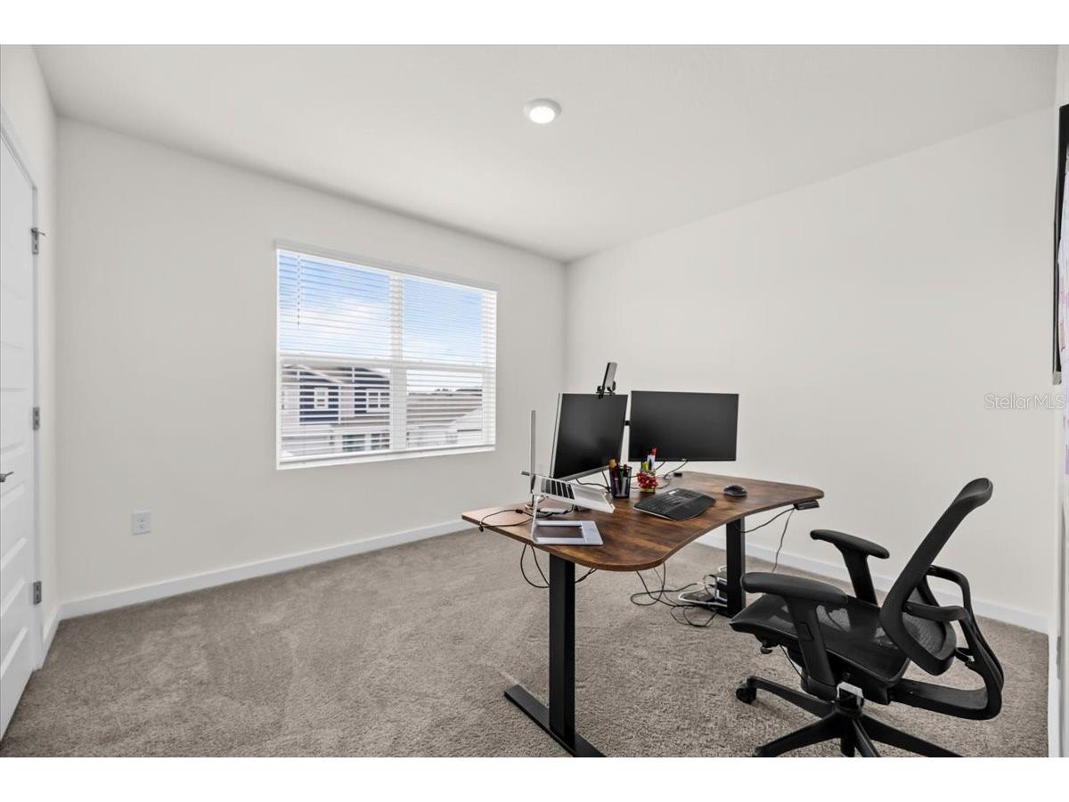 31891 Oyster Trellis Lane Wesley Chapel FL 33545 TB8498748 image21