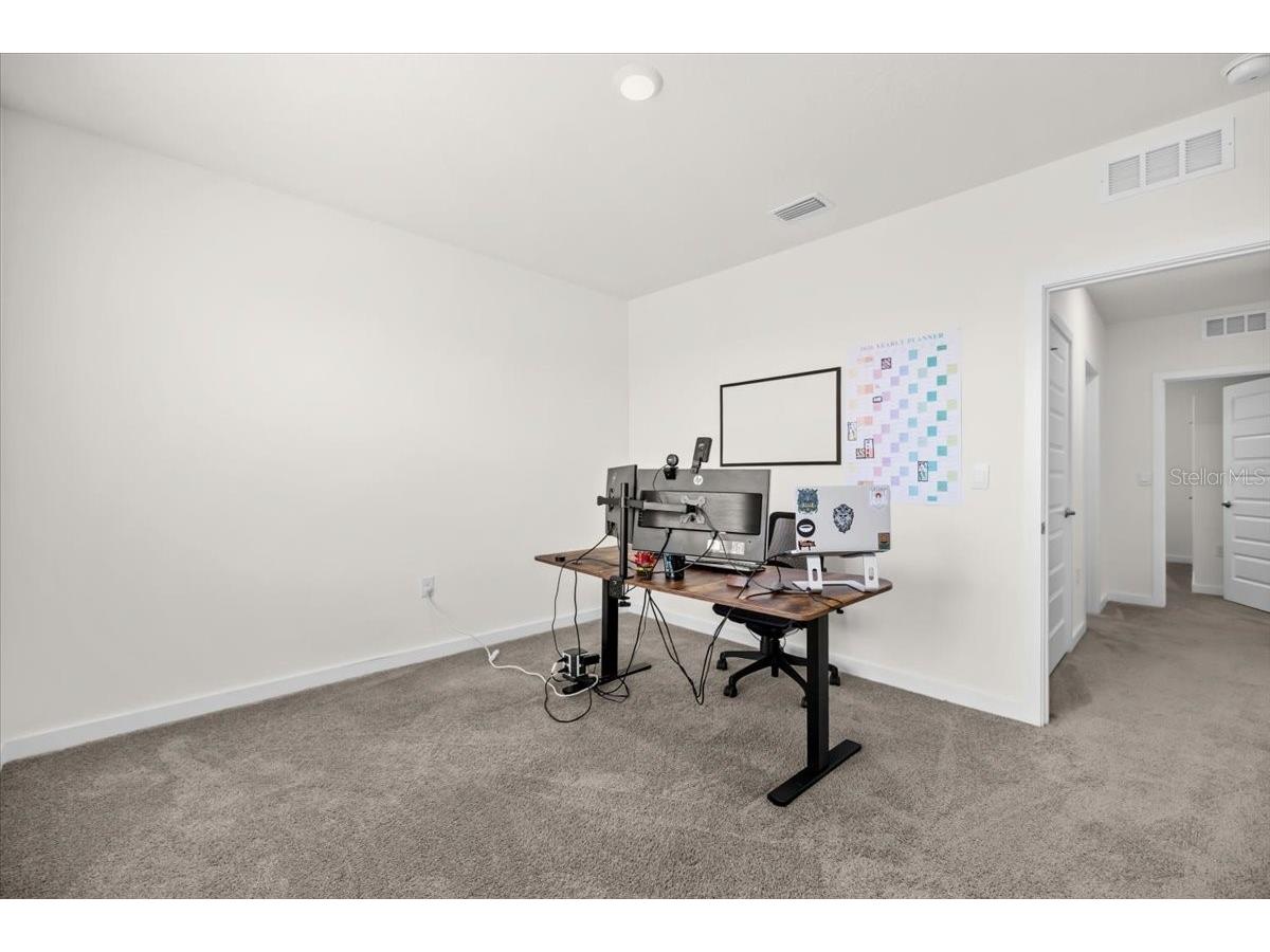 31891 Oyster Trellis Lane Wesley Chapel FL 33545 TB8498748 image22