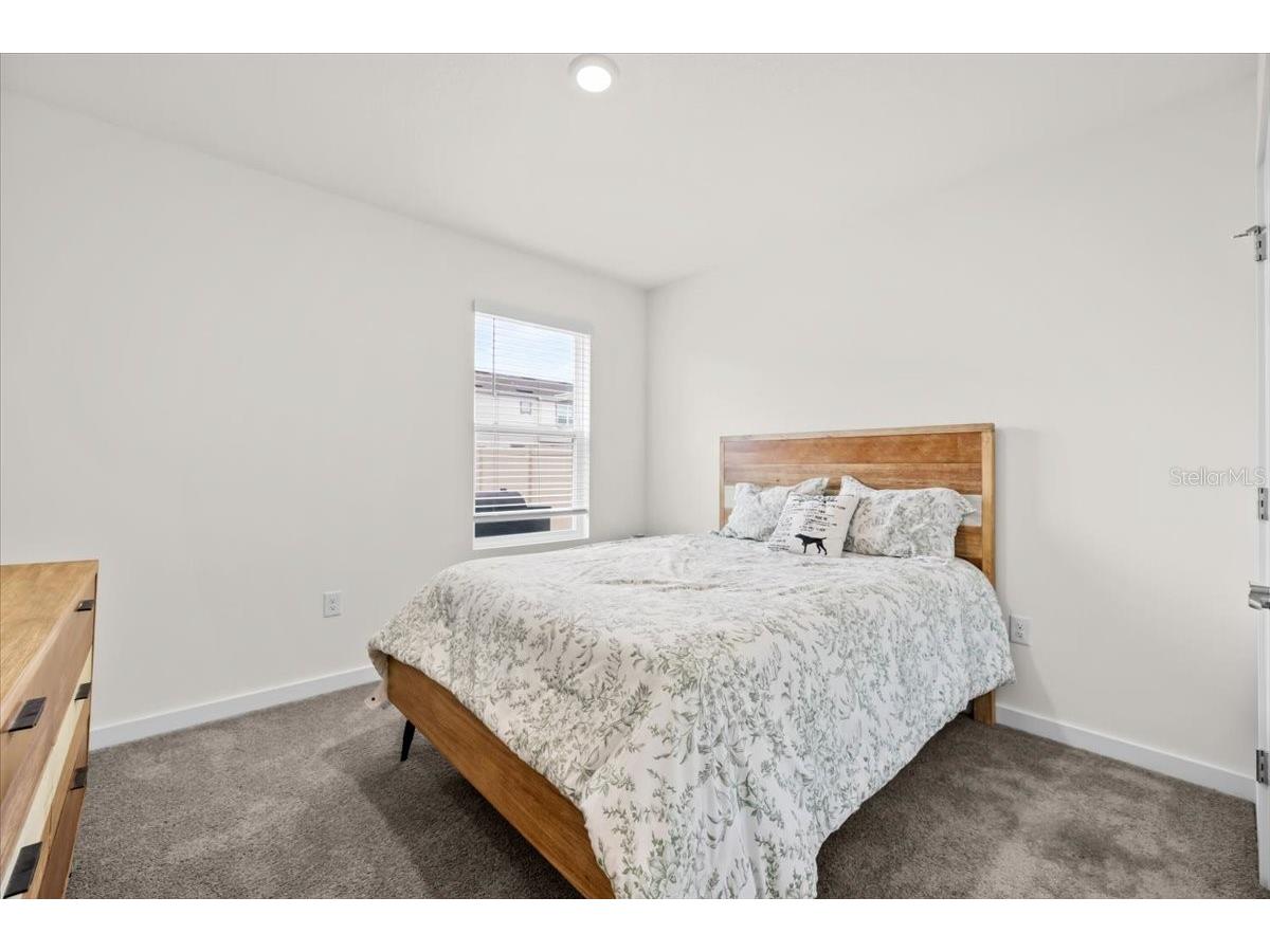 31891 Oyster Trellis Lane Wesley Chapel FL 33545 TB8498748 image23