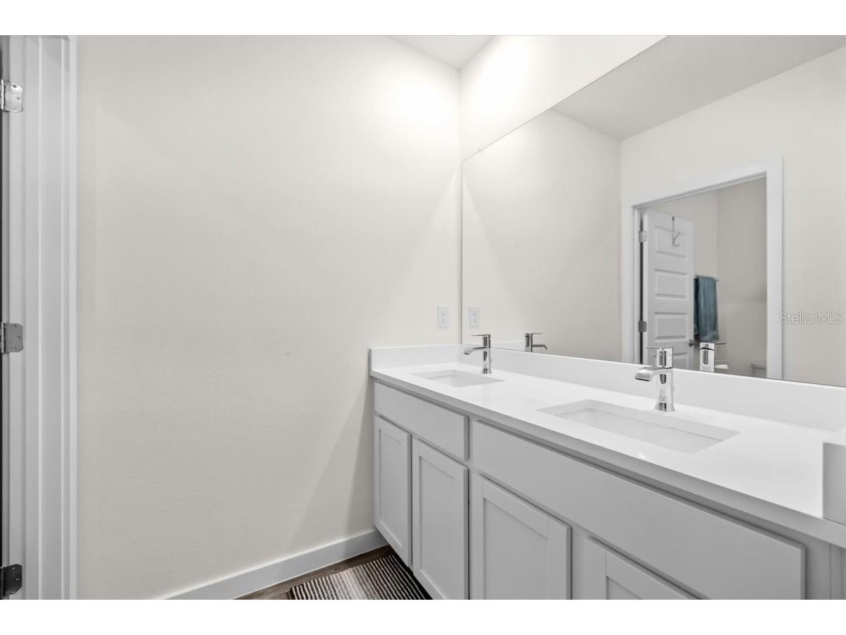 31891 Oyster Trellis Lane Wesley Chapel FL 33545 TB8498748 image29