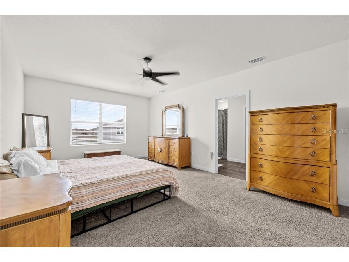 31891 Oyster Trellis Lane Wesley Chapel FL 33545 TB8498748 image9