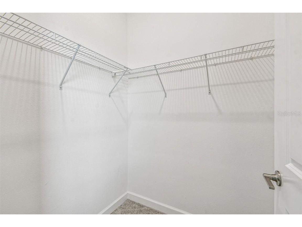 31896 Magna Gulf Loop San Antonio FL 33576 O6324933 image15