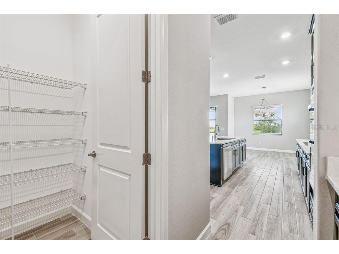 31896 Magna Gulf Loop San Antonio FL 33576 O6324933 image42