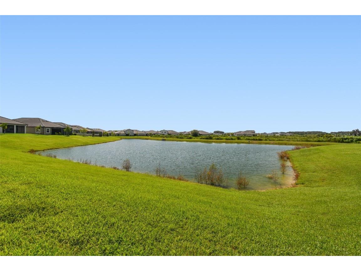 31896 Magna Gulf Loop San Antonio FL 33576 O6324933 image75