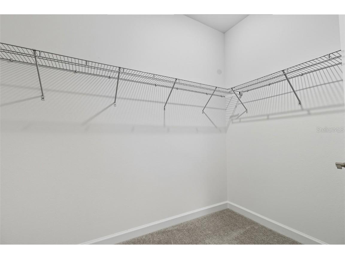 31898 Griffin Sands Ln San Antonio FL 33576 TB8435370 image12