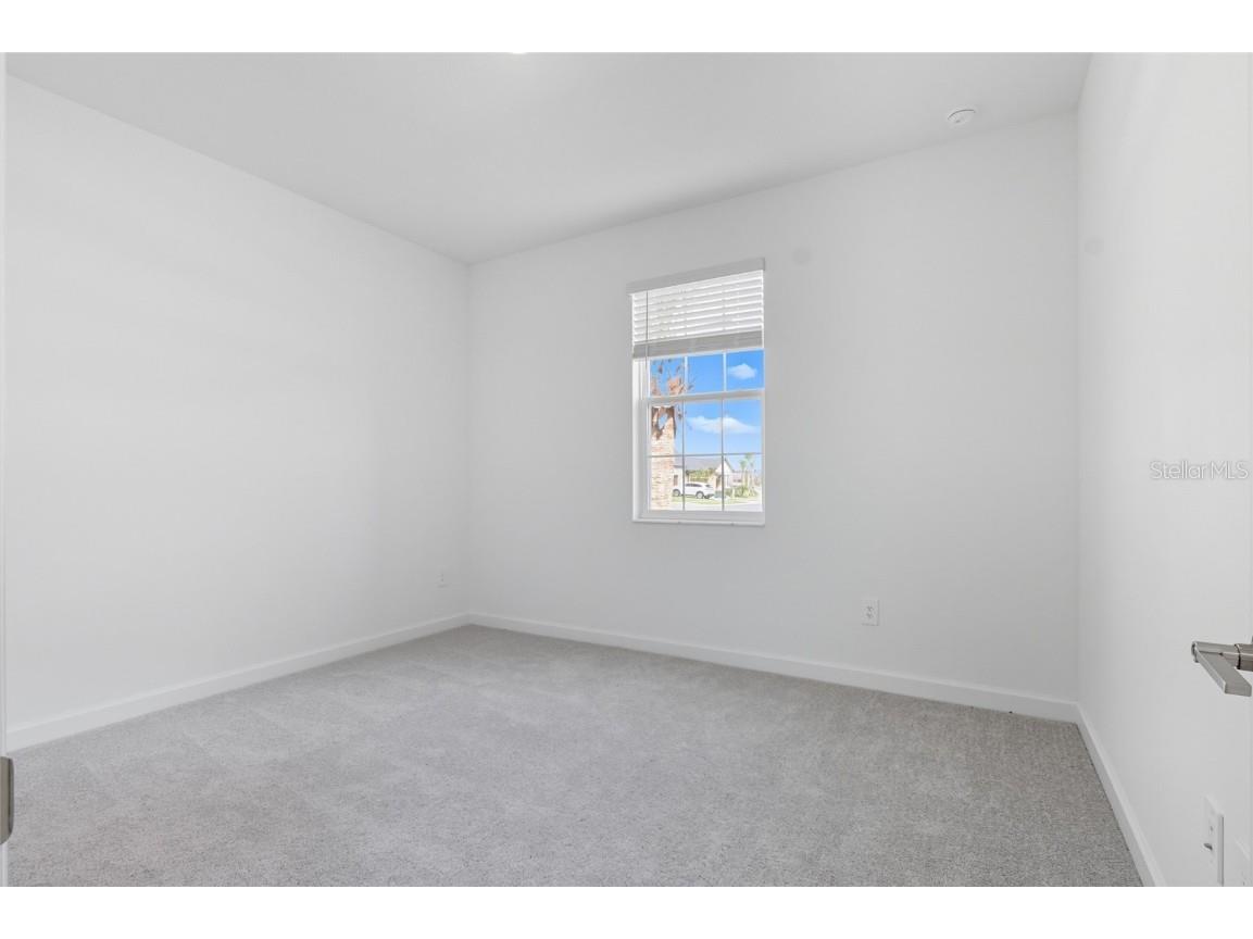 31898 Griffin Sands Ln San Antonio FL 33576 TB8435370 image39