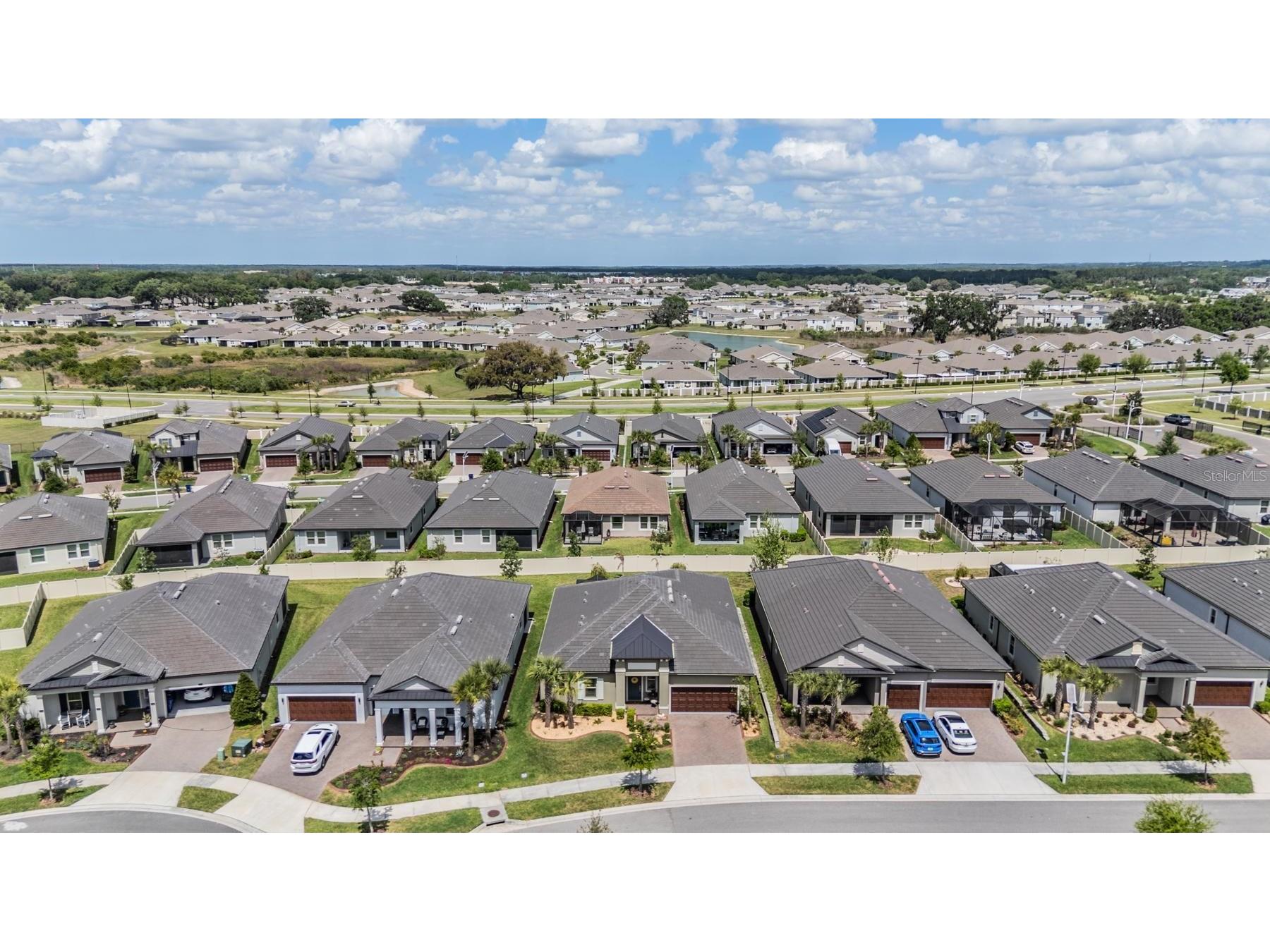31899 Magna Gulf Loop San Antonio FL 33576 TB8493802 image39
