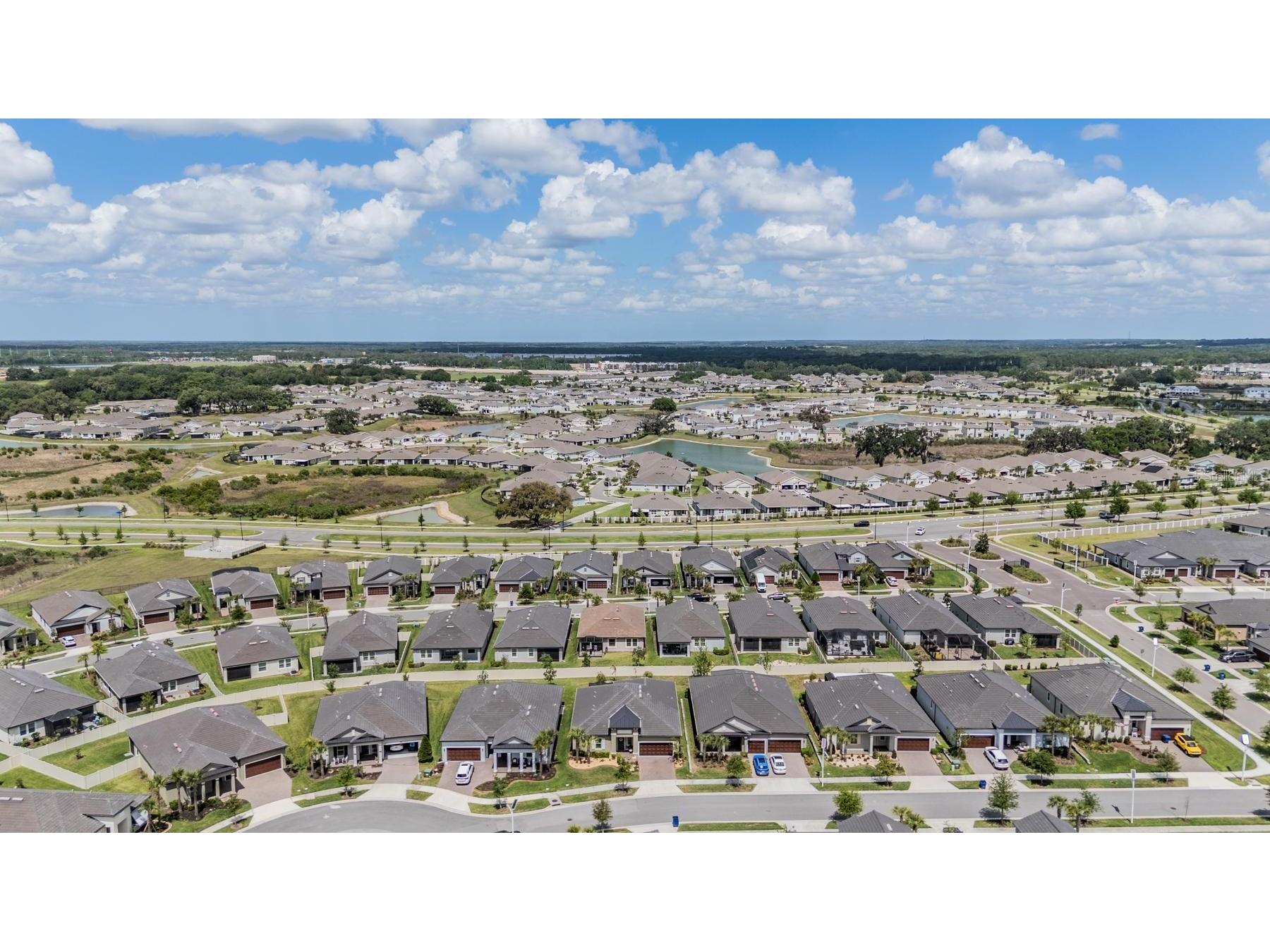 31899 Magna Gulf Loop San Antonio FL 33576 TB8493802 image40