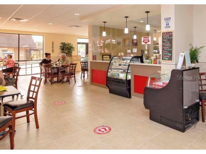 319 Brockfield Drive Sun City Center FL 33573 TB8472640 image55