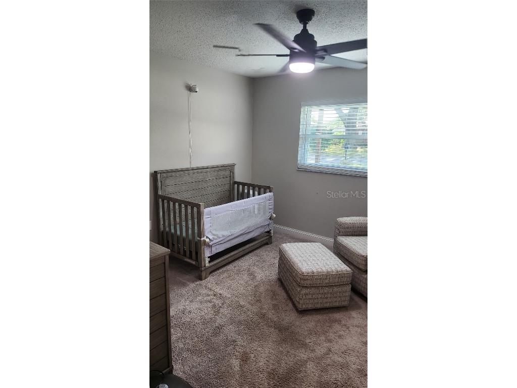 319 Faye Circle N Lakeland FL 33813 TB8451342 image9