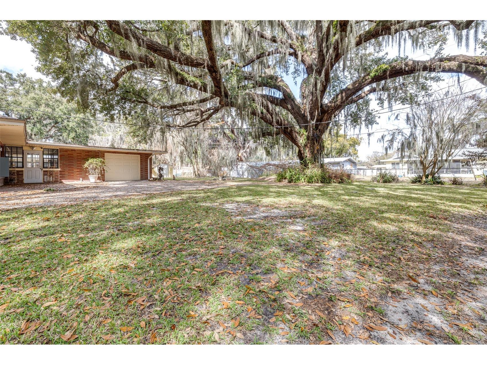 319 Granada Road Auburndale FL 33823 P4937924 image35