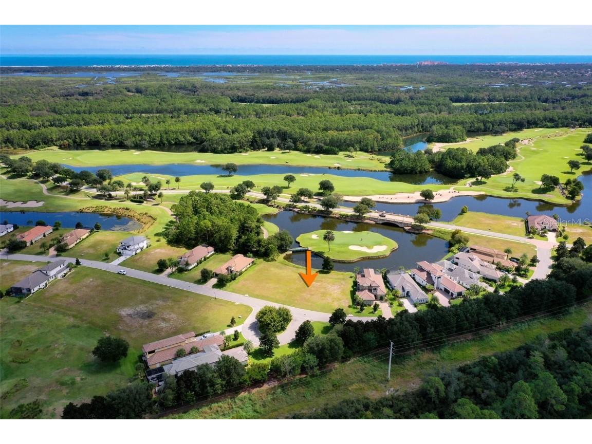 319 Hibiscus Way Palm Coast FL 32137 FC313073 image19