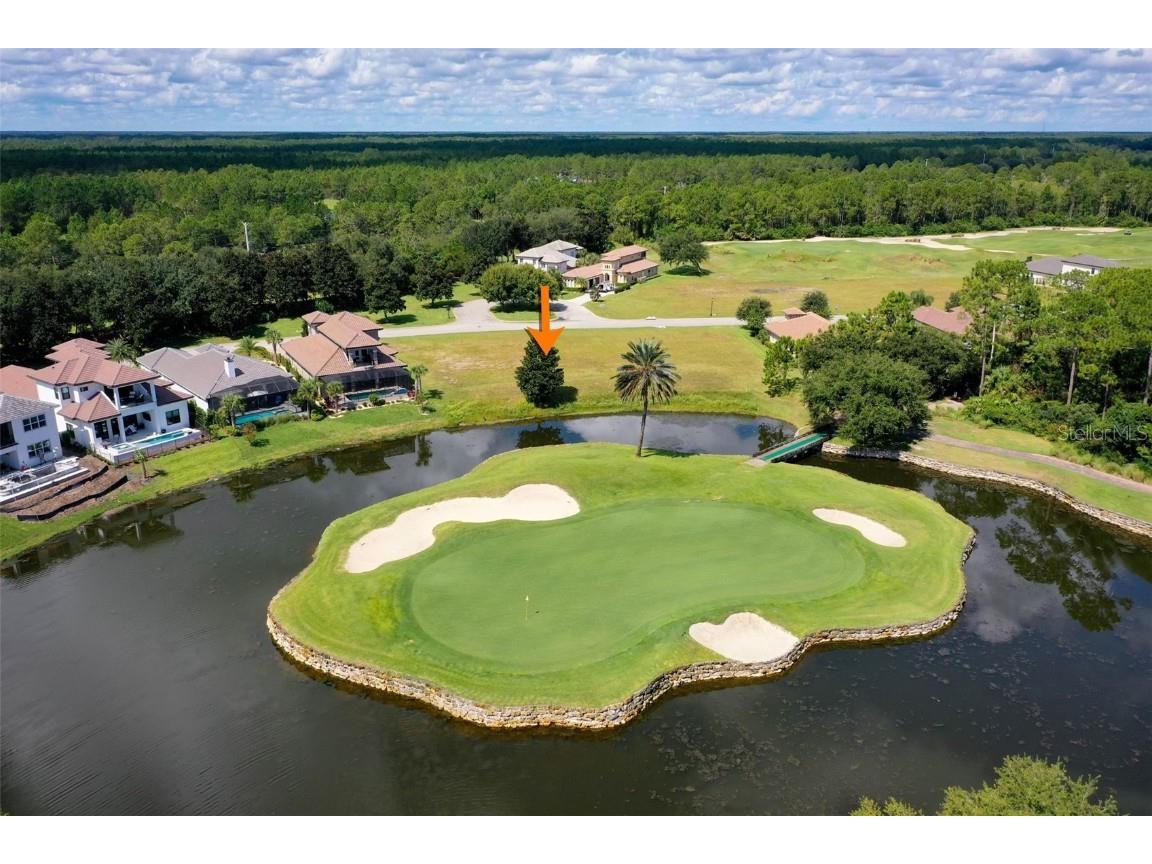 319 Hibiscus Way Palm Coast FL 32137 FC313073 image7