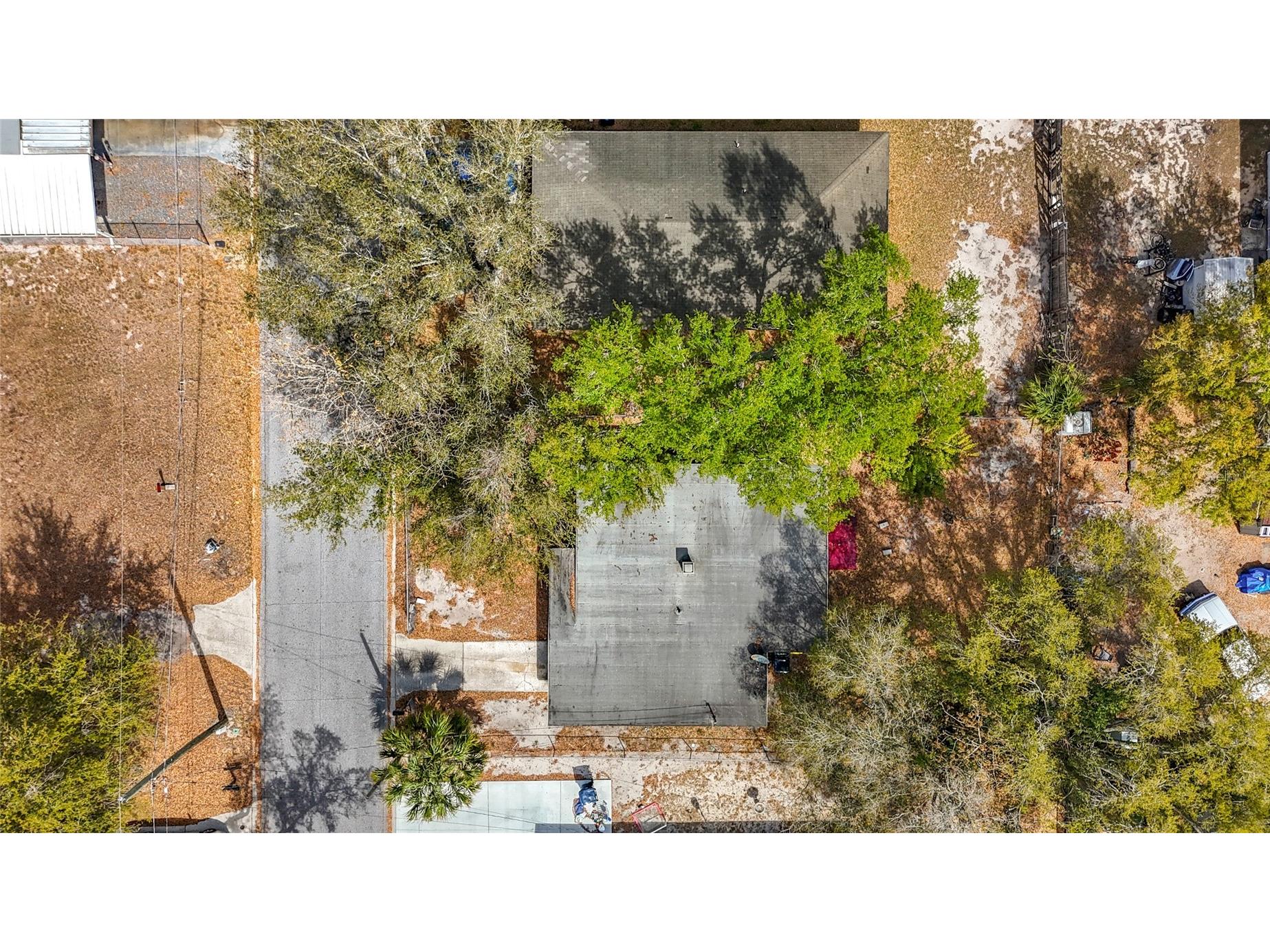 319 Leta Street Auburndale FL 33823 L4959875 image44