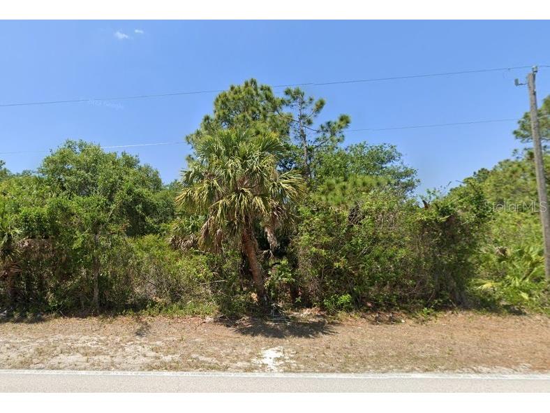 319 Ravenswood Boulevard Port Charlotte FL 33954 O6330165 image1