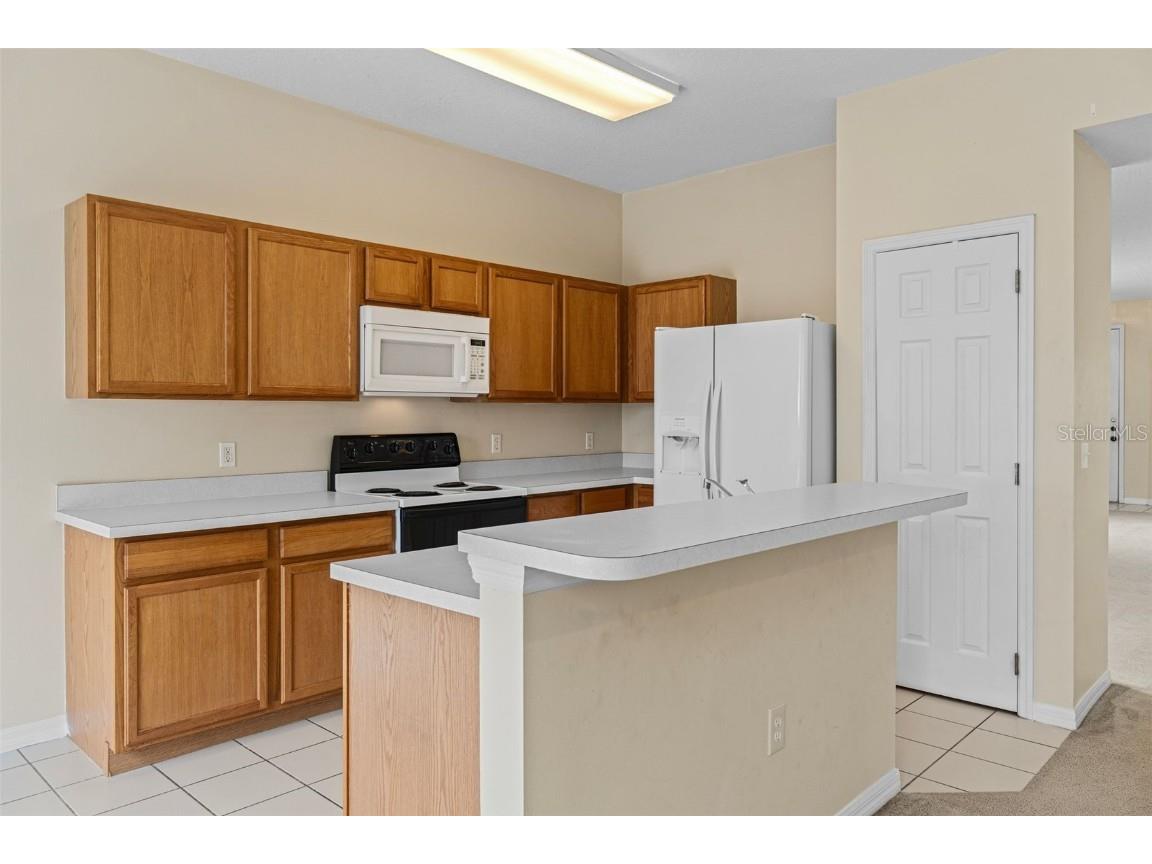 319 Sand Ridge Drive Davenport FL 33896 S5119237 image11