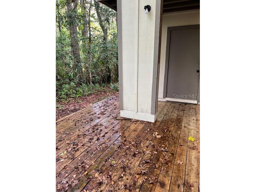 319 SW 54th Drive #319 Gainesville FL 32607 OM710814 image21