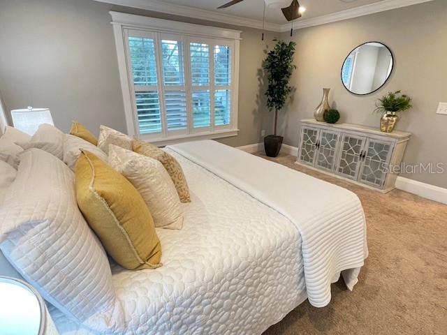 319 W Giddens Avenue Tampa FL 33603 TB8446919 image23