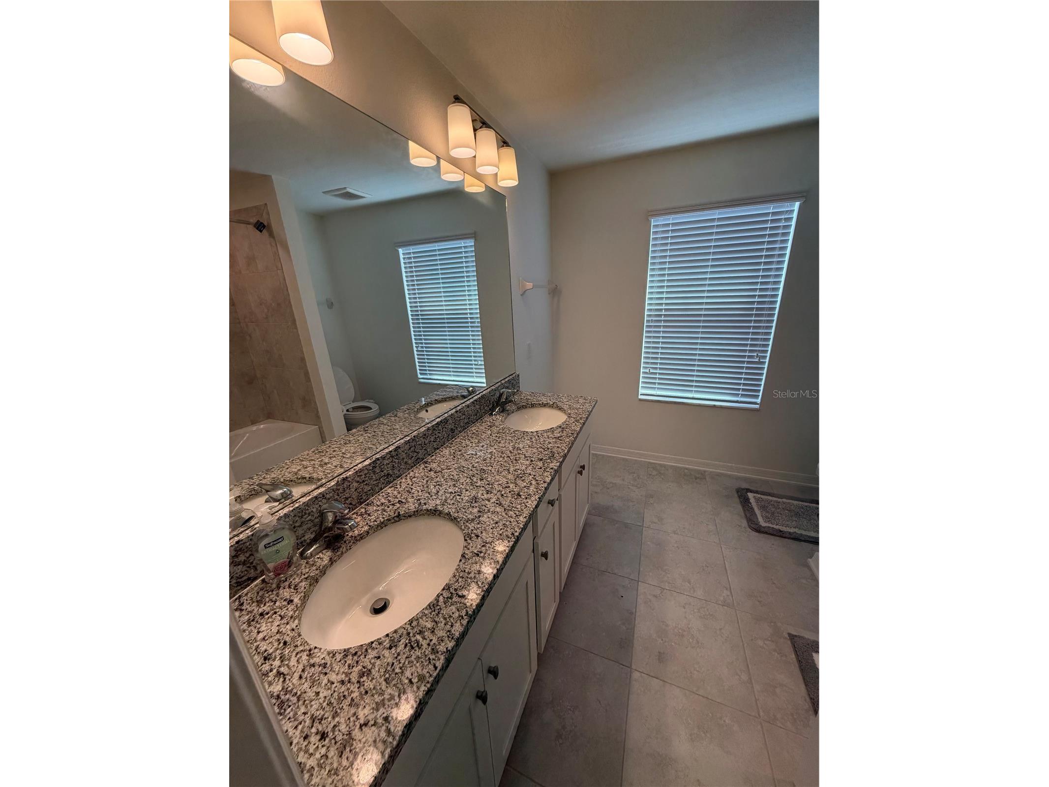 31903 Sapna Chime Drive Wesley Chapel FL 33545 TB8479248 image13