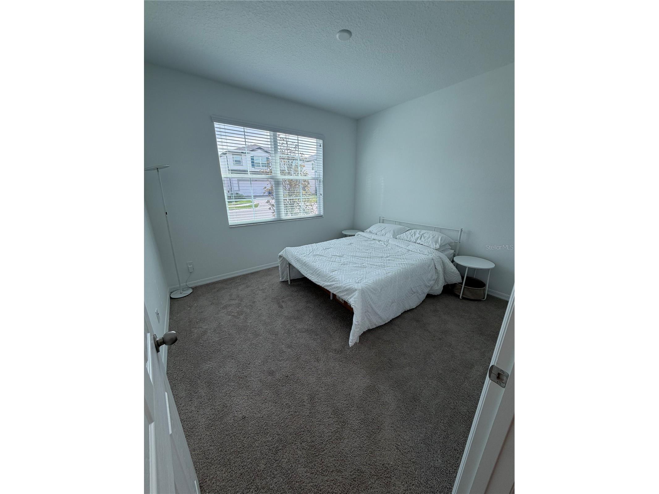 31903 Sapna Chime Drive Wesley Chapel FL 33545 TB8479248 image5