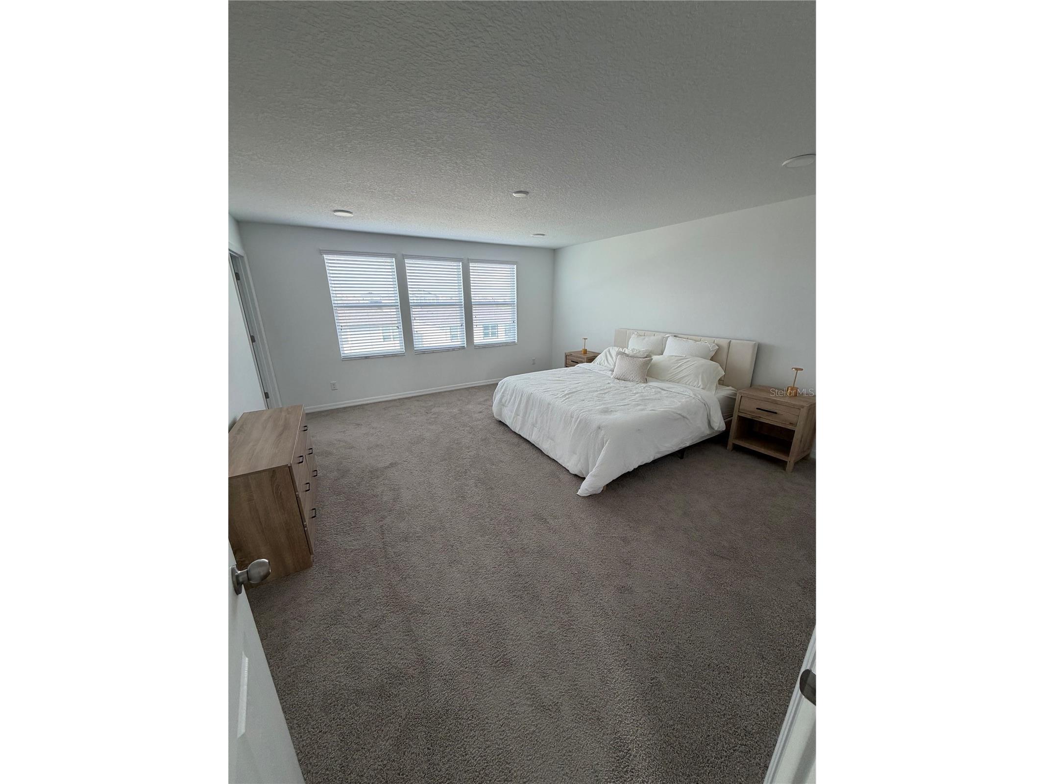 31903 Sapna Chime Drive Wesley Chapel FL 33545 TB8479248 image9