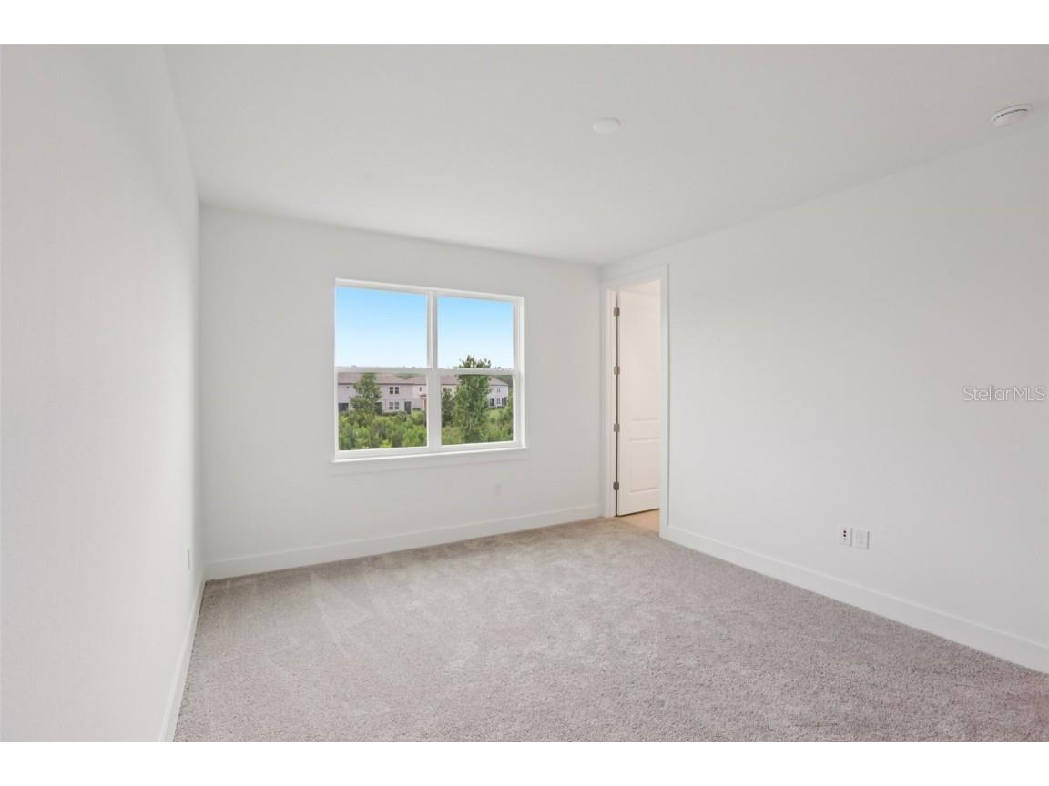 31907 Anchor Point Drive Wesley Chapel FL 33545 TB8300955 image22