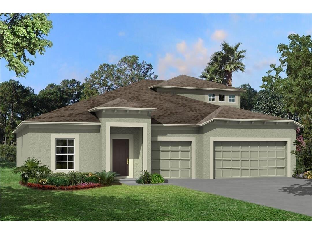 3191 King Fern Drive Wimauma FL 33598 T3395339 image1