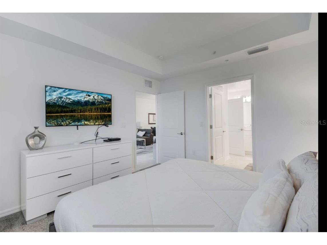 3191 Paradox Circle #205 Kissimmee FL 34746 S5106344 image27