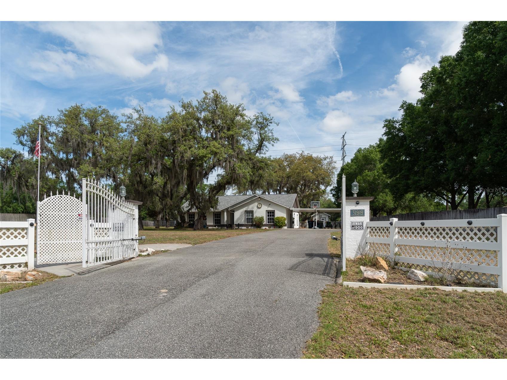 31919 Hedgerow Drive Wesley Chapel FL 33543 TB8500273 image1
