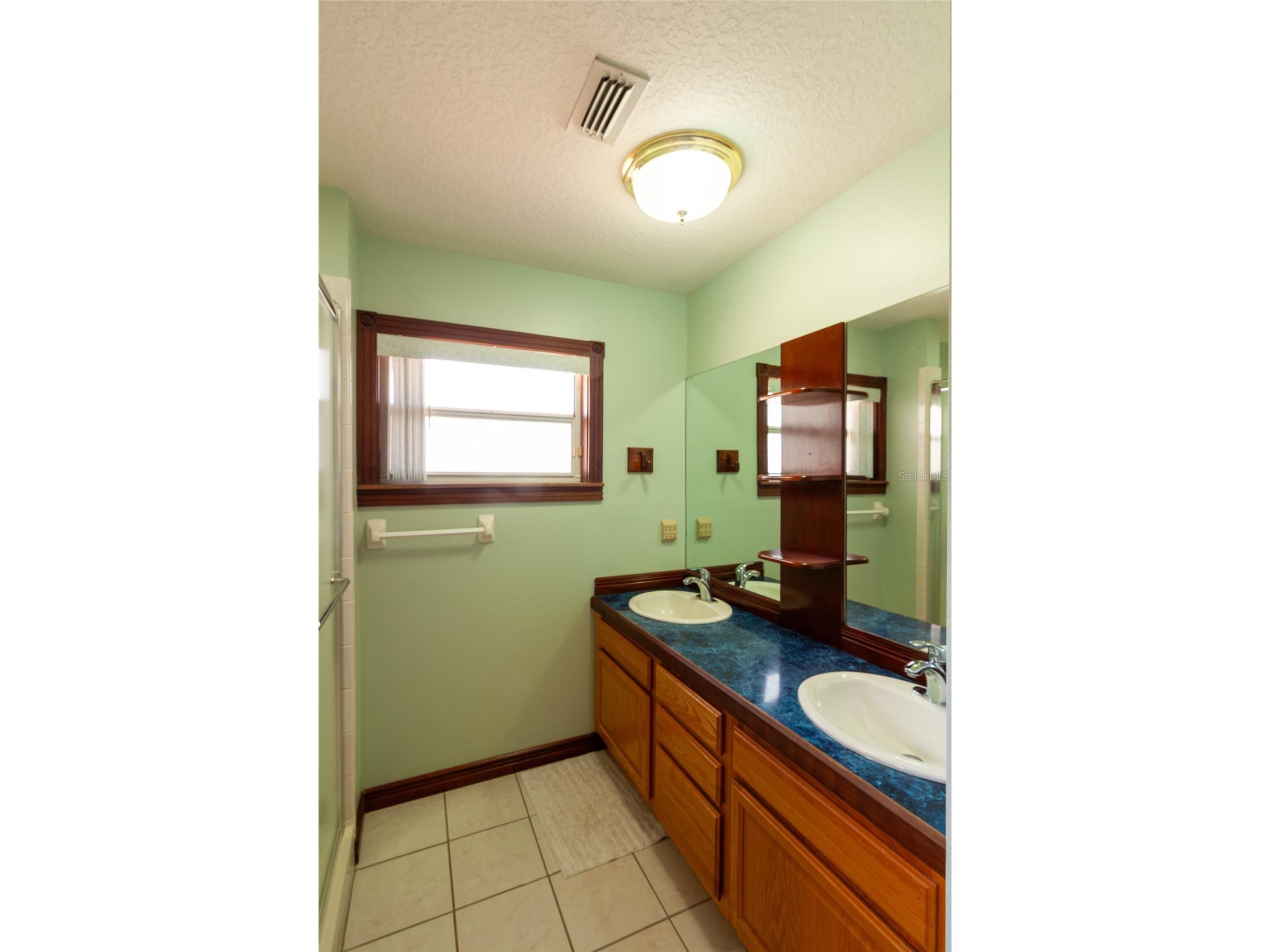 31919 Hedgerow Drive Wesley Chapel FL 33543 TB8500273 image12