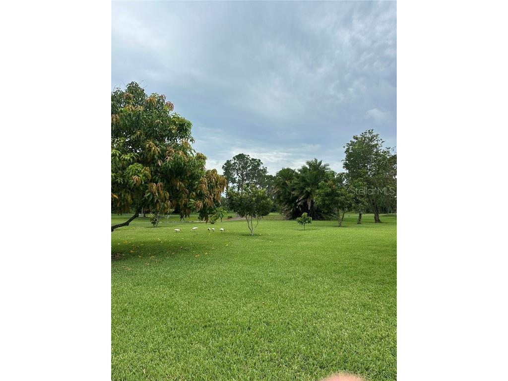 3192 Oaks Bend Bowling Green FL 33834 A4653853 image71