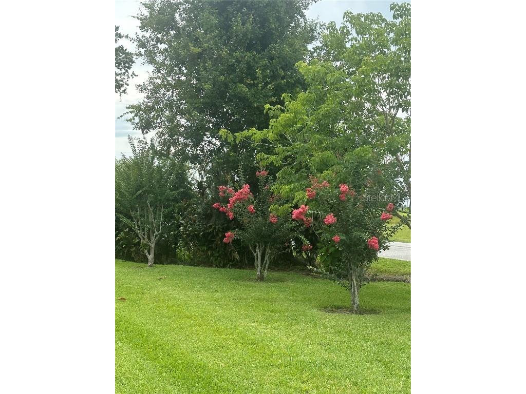 3192 Oaks Bend Bowling Green FL 33834 A4653853 image74