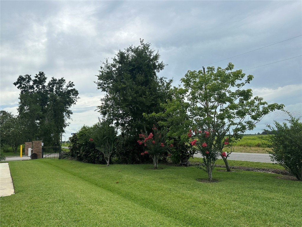 3192 Oaks Bend Bowling Green FL 33834 A4653853 image77