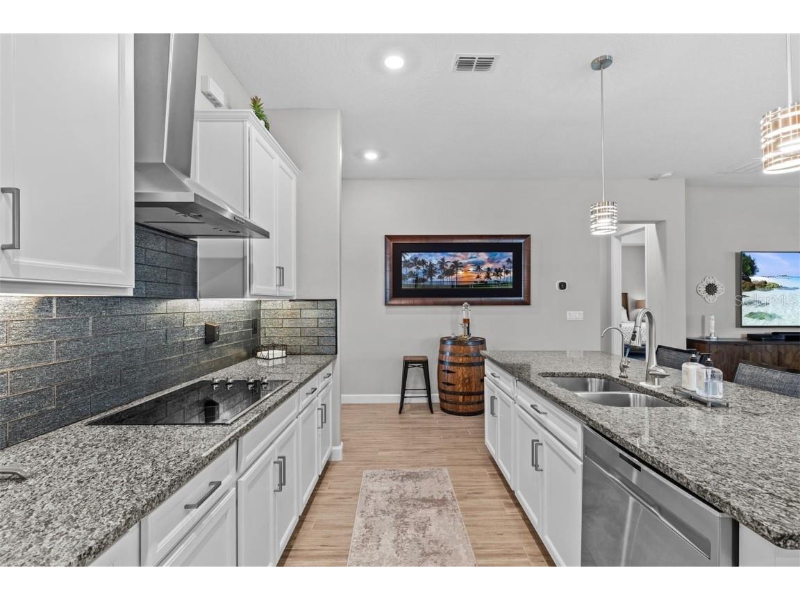 31921 Magna Gulf Loop San Antonio FL 33576 TB8391851 image19