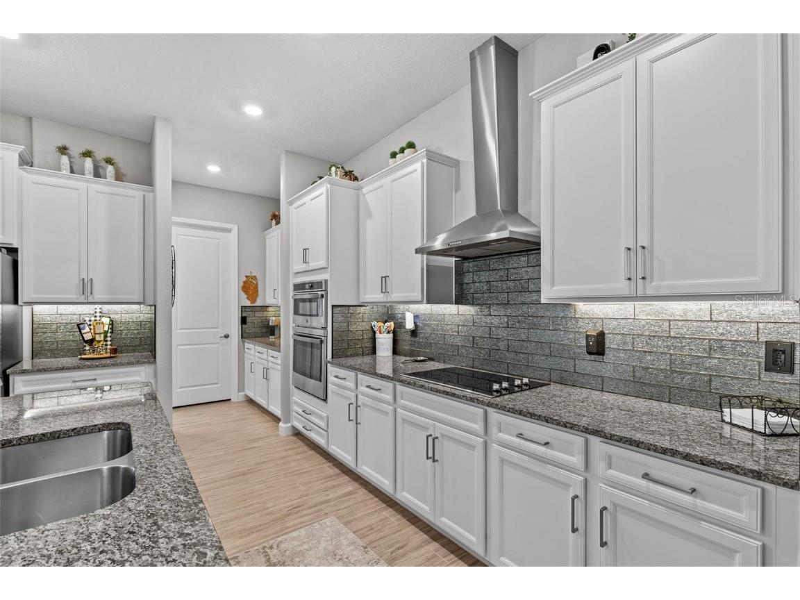 31921 Magna Gulf Loop San Antonio FL 33576 TB8391851 image20