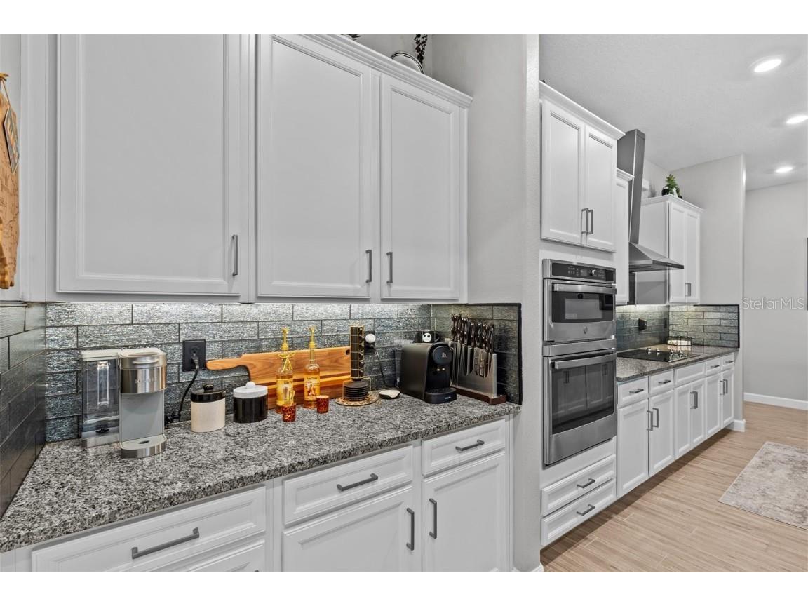 31921 Magna Gulf Loop San Antonio FL 33576 TB8391851 image22