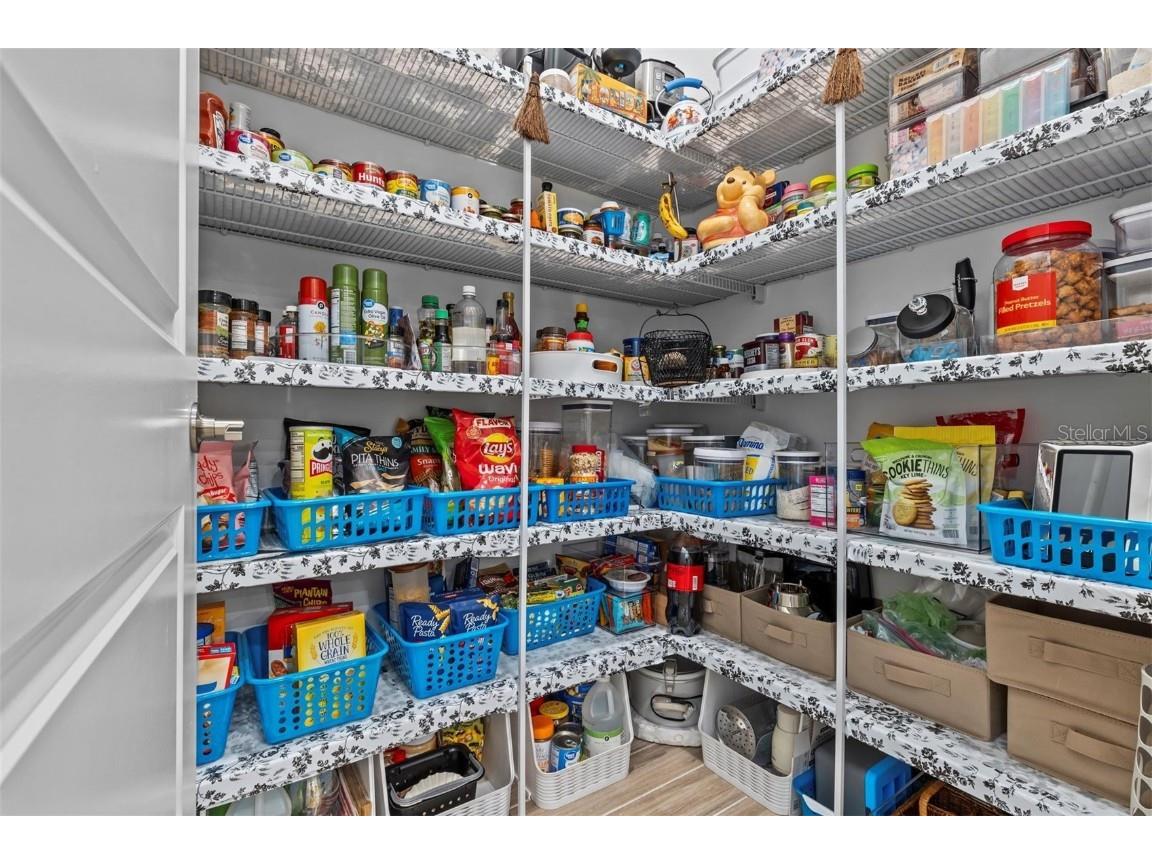 31921 Magna Gulf Loop San Antonio FL 33576 TB8391851 image25