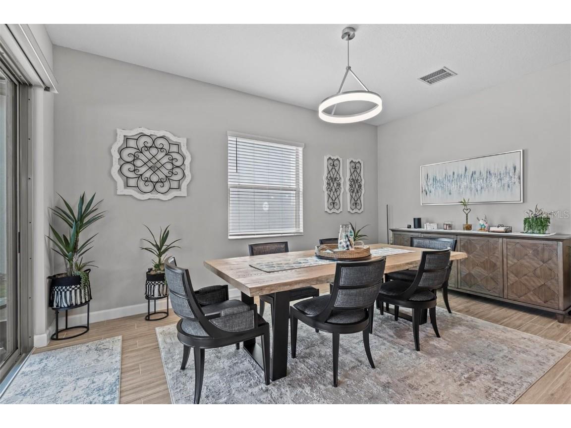 31921 Magna Gulf Loop San Antonio FL 33576 TB8391851 image45