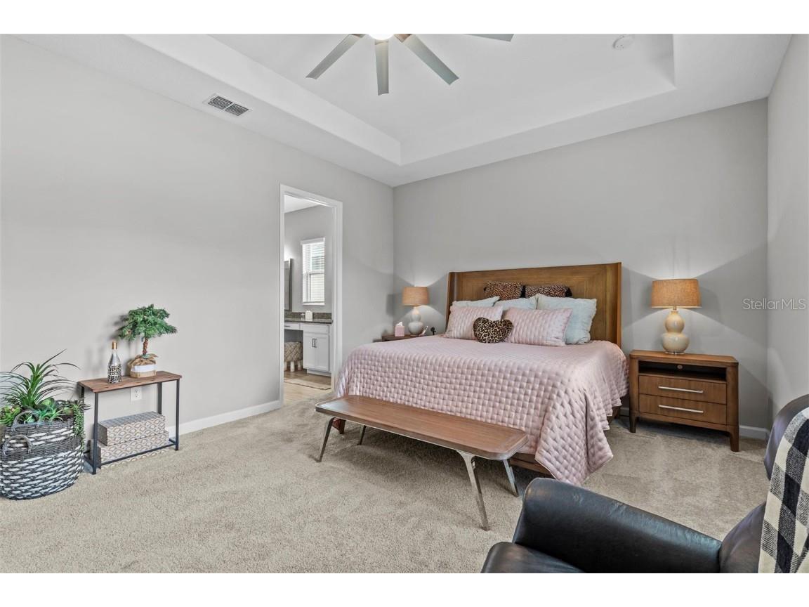 31921 Magna Gulf Loop San Antonio FL 33576 TB8391851 image48