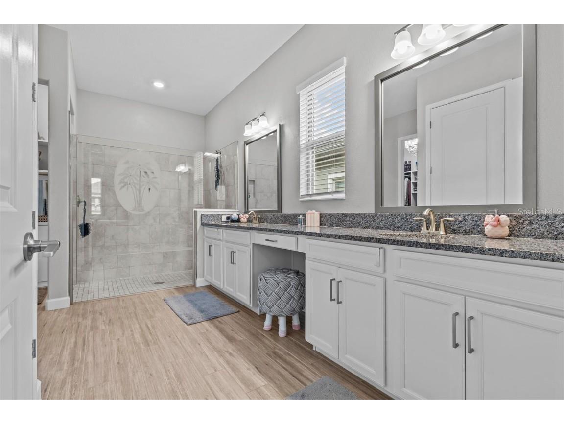 31921 Magna Gulf Loop San Antonio FL 33576 TB8391851 image50