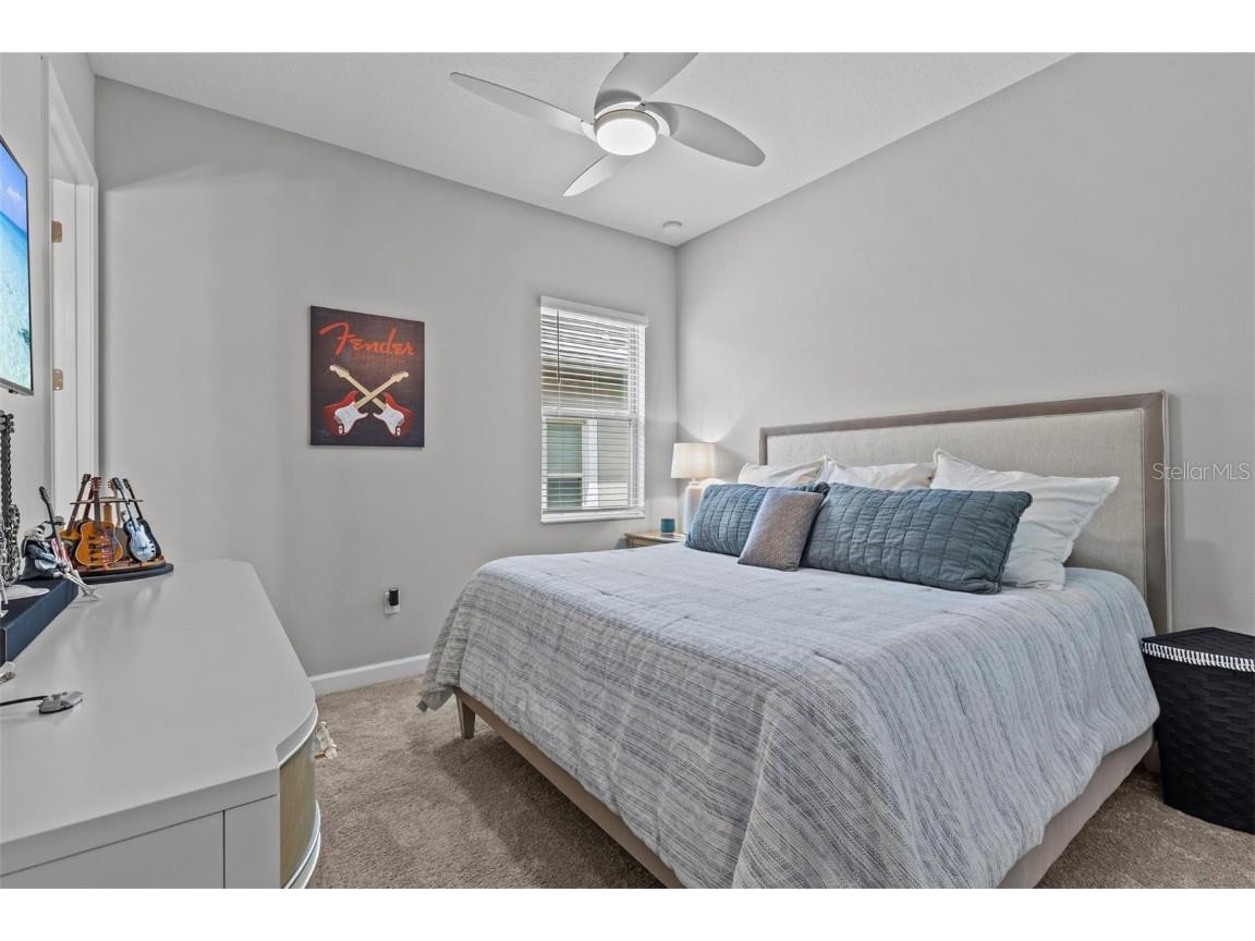 31921 Magna Gulf Loop San Antonio FL 33576 TB8391851 image56