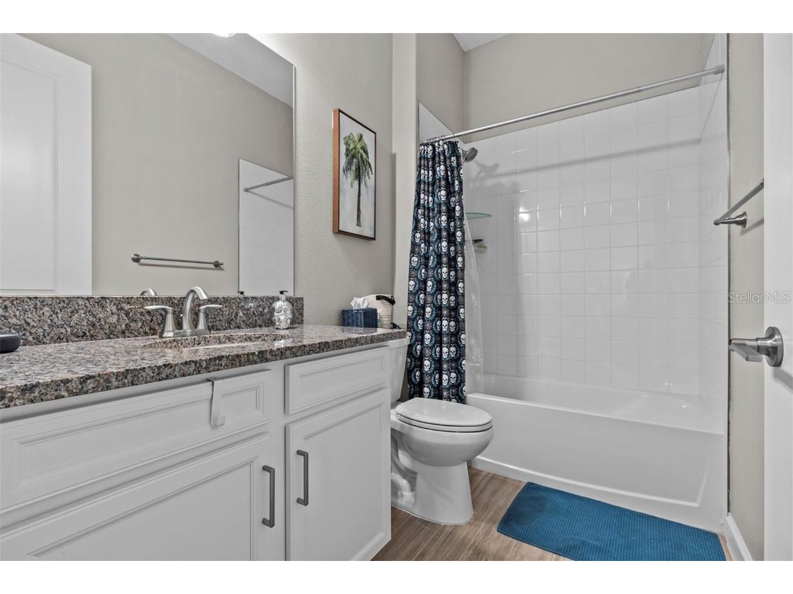 31921 Magna Gulf Loop San Antonio FL 33576 TB8391851 image58