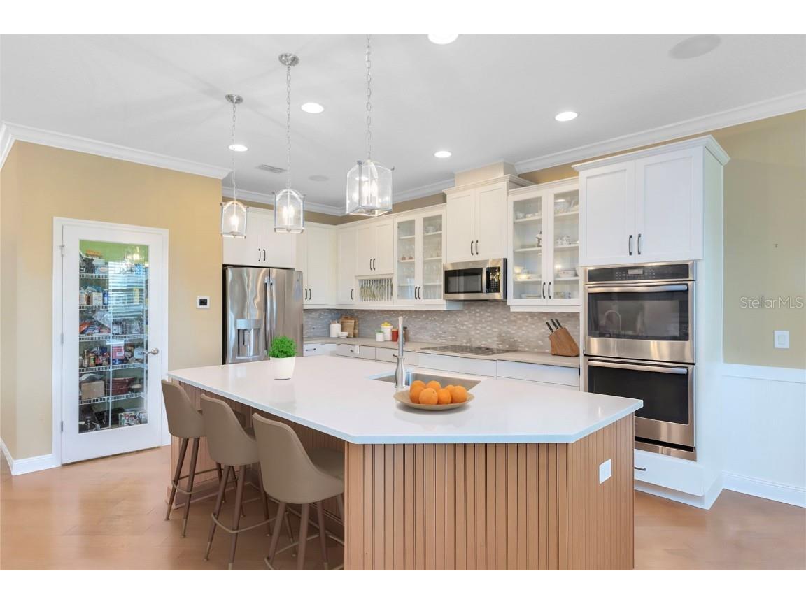 31921 Redtail Reserve Boulevard Sorrento FL 32776 O6360027 image8