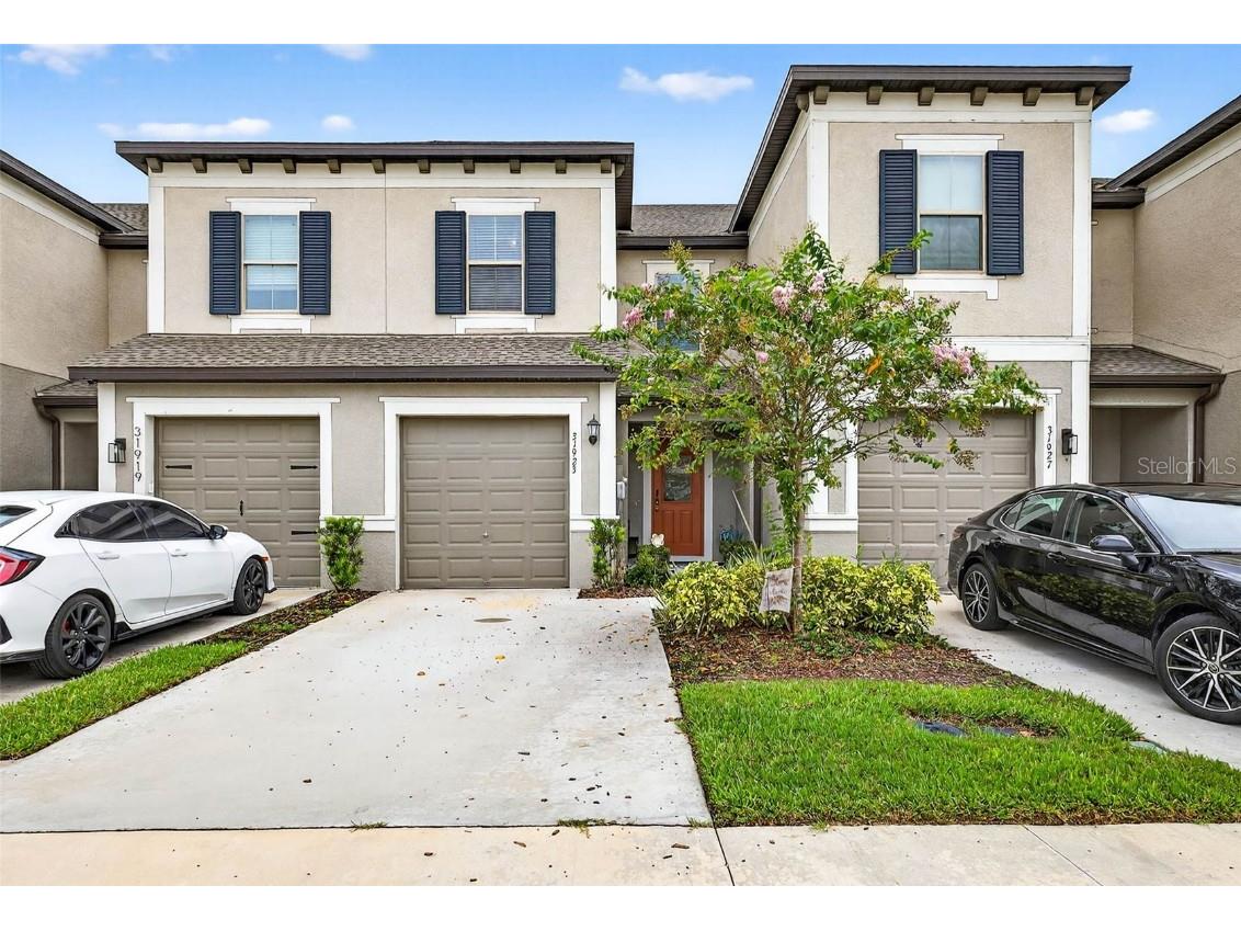 31923 Blue Passing Loop Wesley Chapel FL 33545 TB8426419 image1