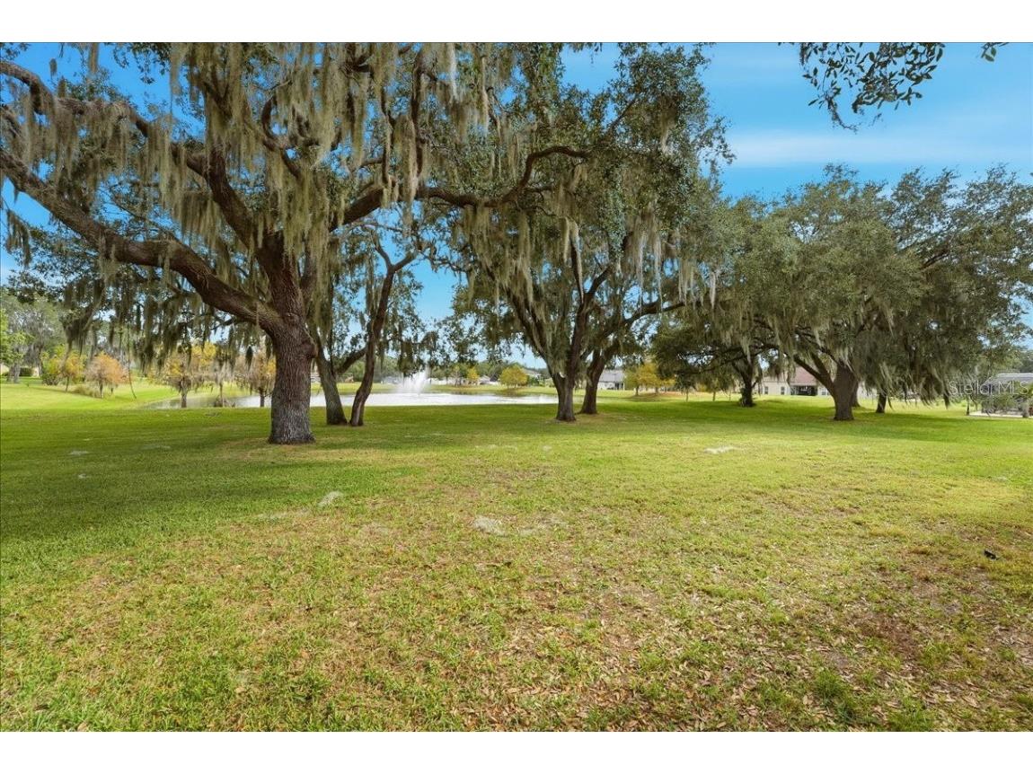 3193 Waterbridge Lane Kissimmee FL 34744 O6368334 image17